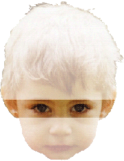Kinderbilder
